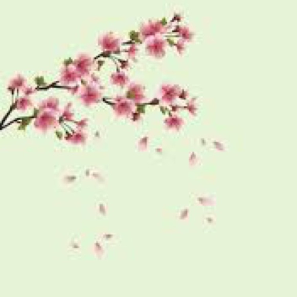 Meet your Posher, Desa